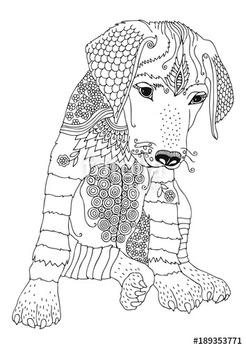 354x500 Puppy Of Rhodesian Ridgeback. Hand Drawn Picture. Sketch For Anti - Adult Sketch