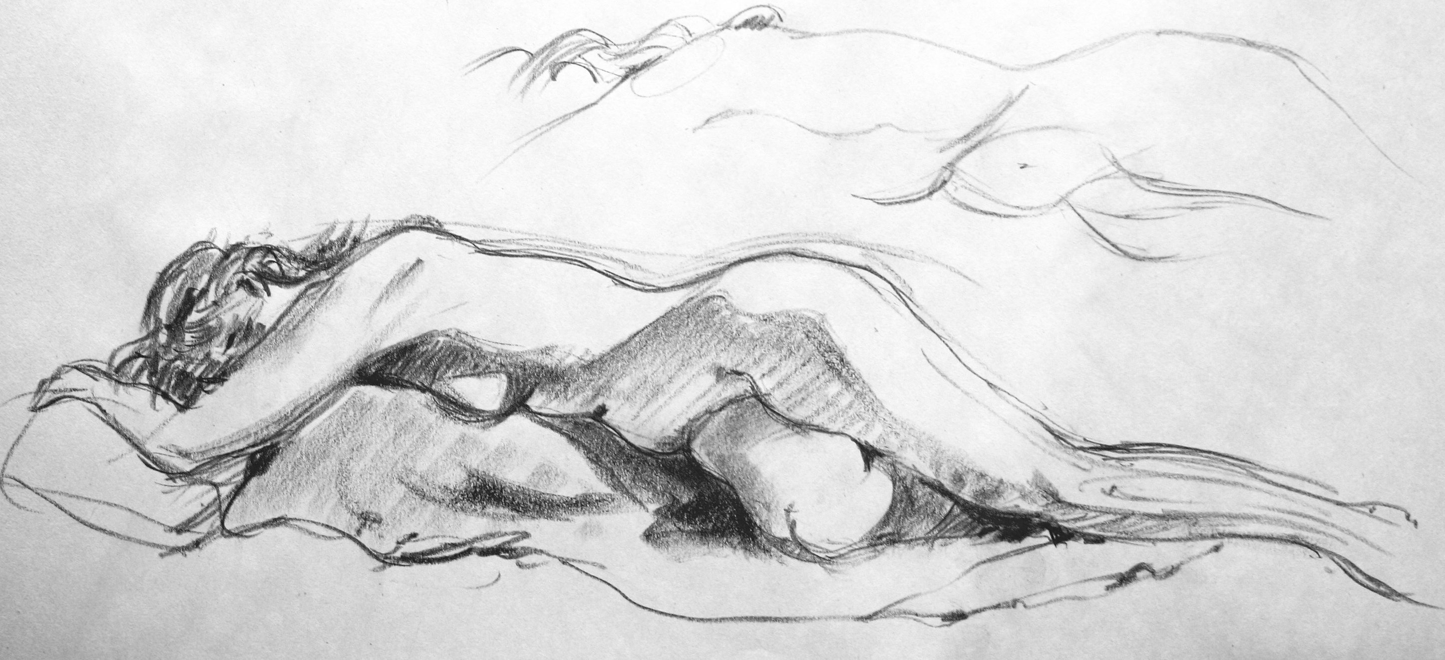 2894x1323 Adult Program The Latcham Gallery - Adult Sketch