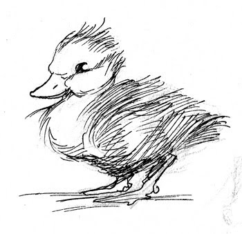 350x339 Art And Adventure Sketch Like Greased Lightening! - Adventure Sketch