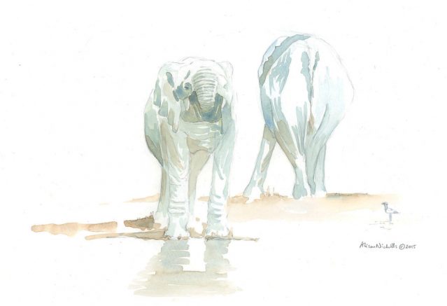 639x437 African Field Sketch - Africa Sketch