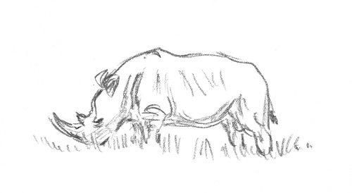 500x274 Sketchbook South Africa - Africa Sketch