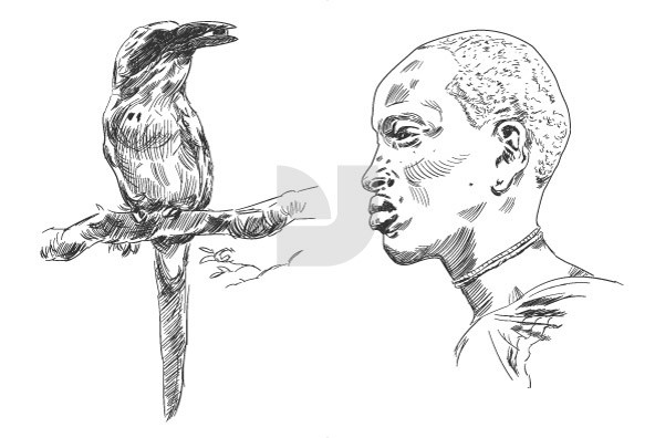 592x396 Sketches Of Africa - Africa Sketch