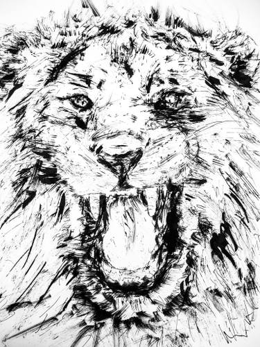 375x500 African Lion Drawings For Sale Saatchi Art - African Lion Sketch