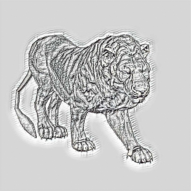 615x615 African Lion Free Stock Photo - African Lion Sketch