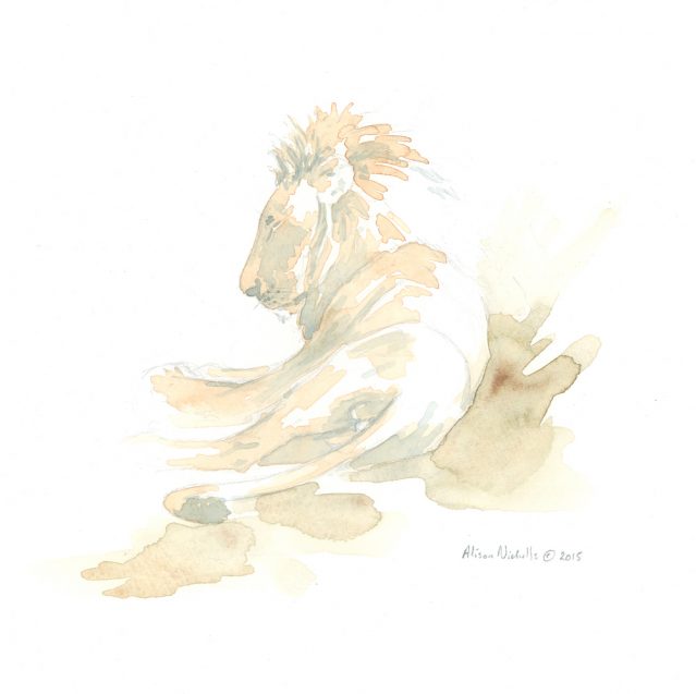 639x637 African Lion Sketch Archives - African Lion Sketch