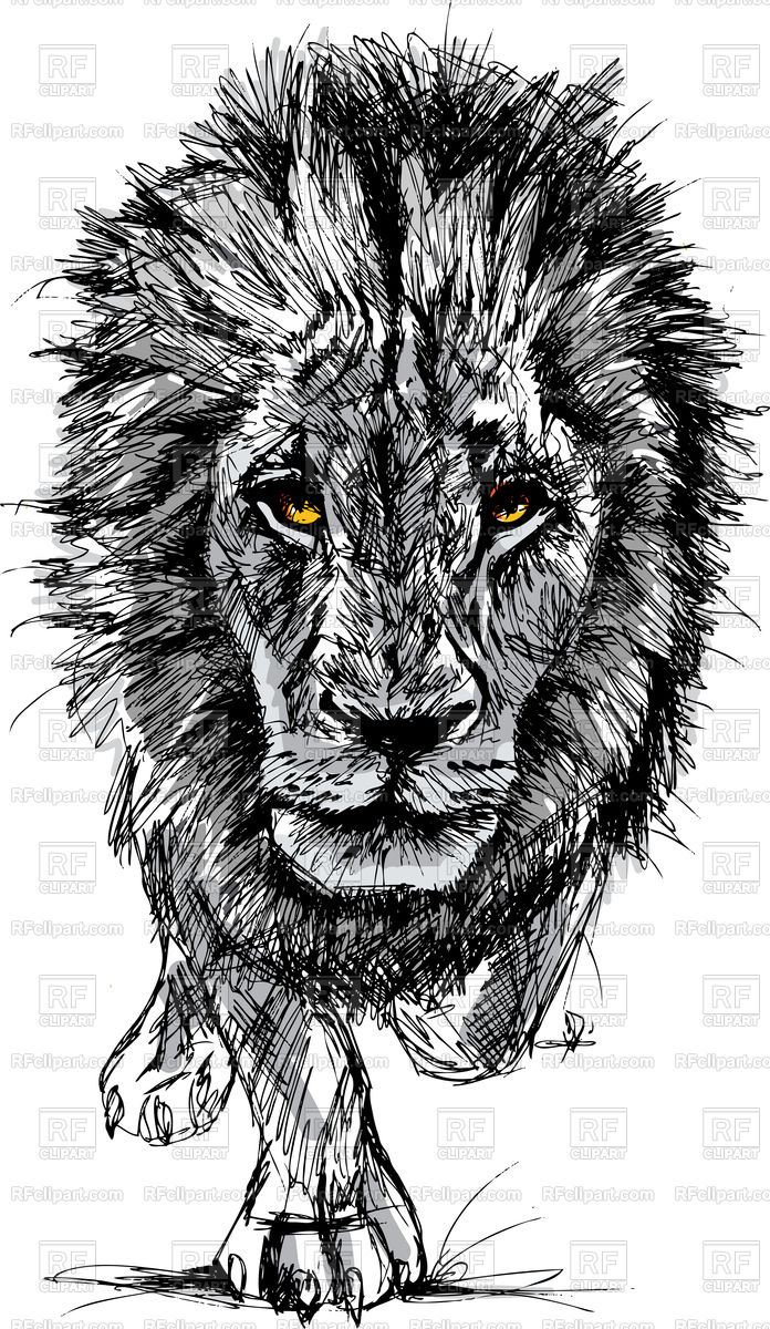 696x1200 Sketch Of A Big African Lion Vector Image Vector Artwork Of - African Lion Sketch