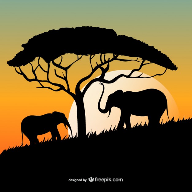 626x626 African Sunset With Elephants And Tree Silhouettes Vector Free - African Tree Sketch
