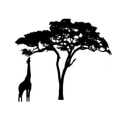 430x430 Giraffe And Acacia Tree Silhouette Um African Rubber Stamp No.17 - African Tree Sketch