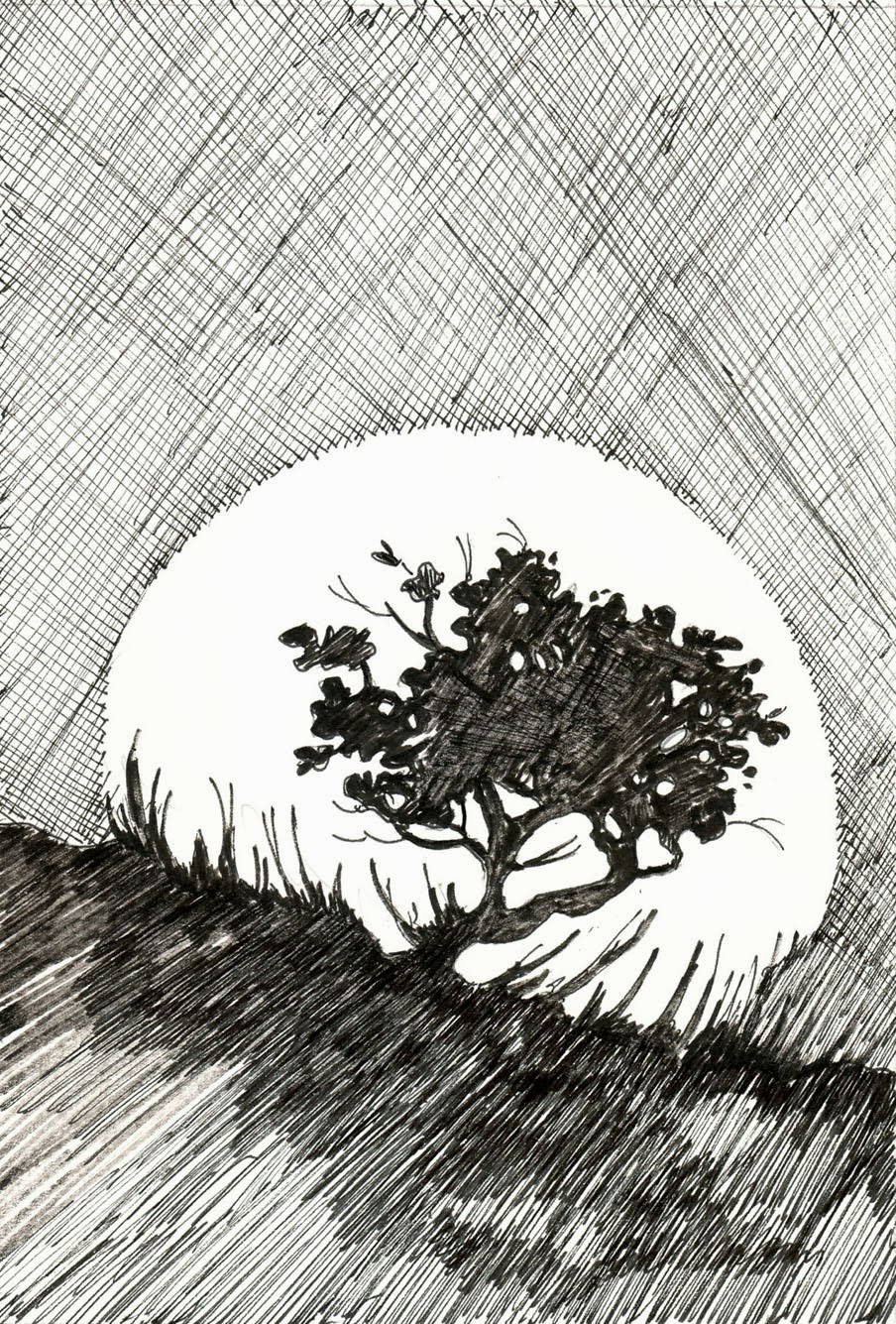 904x1335 Sketching In Nature An African Moon - African Tree Sketch