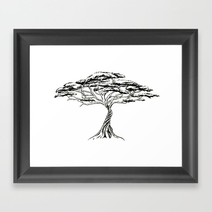 700x700 Whistling Thorn , Zen Bonsai African Tree Framed Art Print By - African Tree Sketch