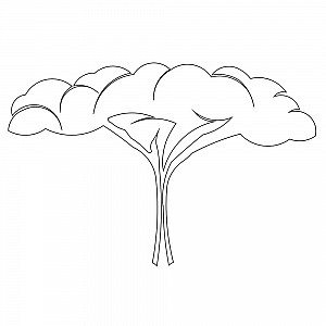 African Tree Sketch at PaintingValley.com | Explore collection of ...