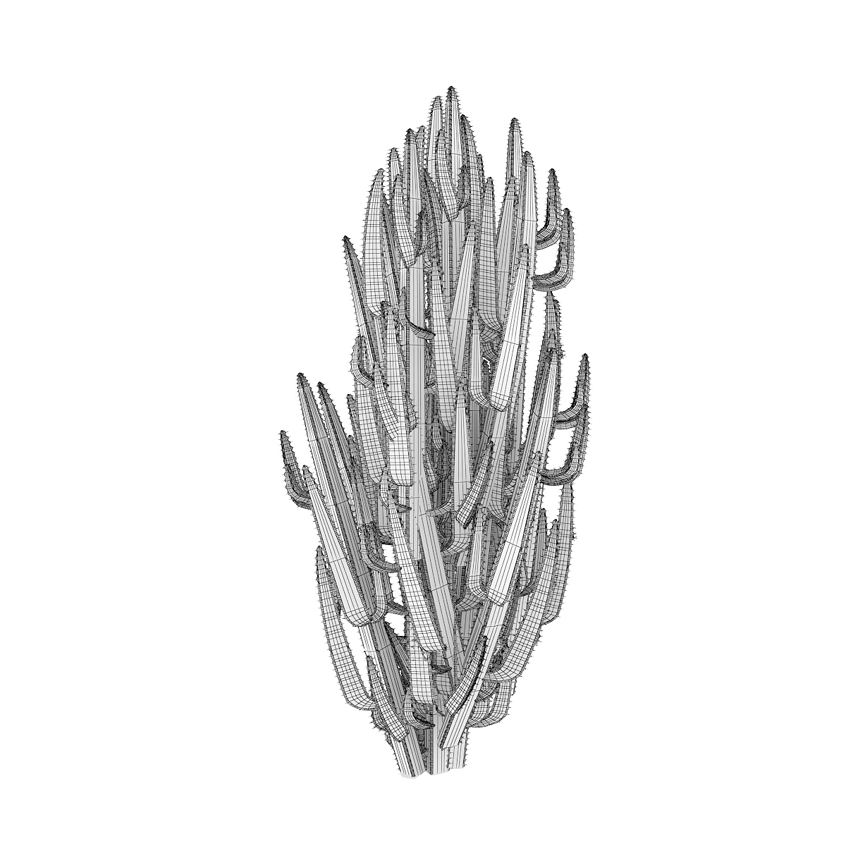 1200x1200 African Milk Tree - African Tree Sketch