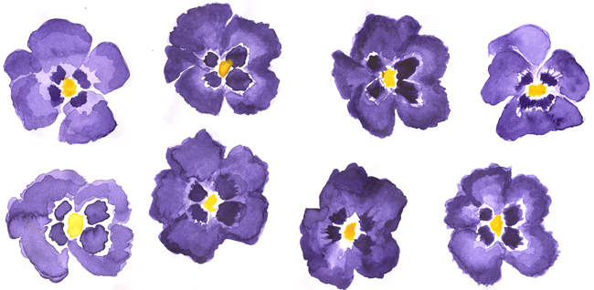 650x318 April 2014 - African Violet Sketch