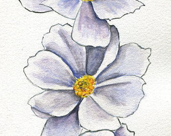 340x270 Cosmos Painting Etsy - African Violet Sketch
