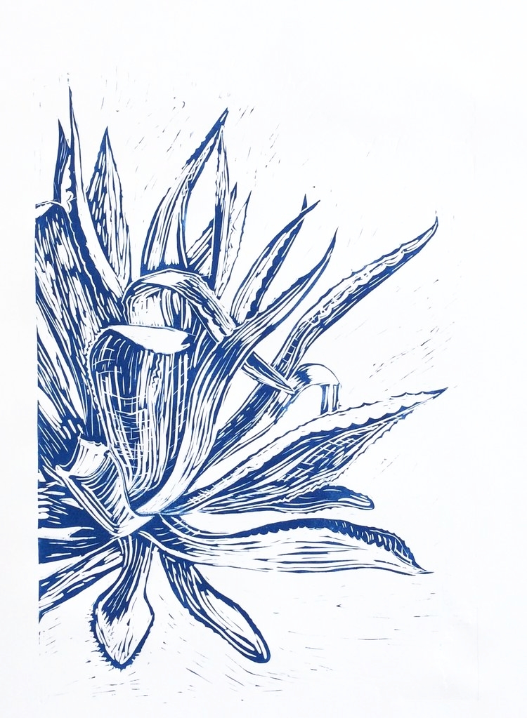 750x1023 Blue Agave Ink Original Art - Agave Sketch