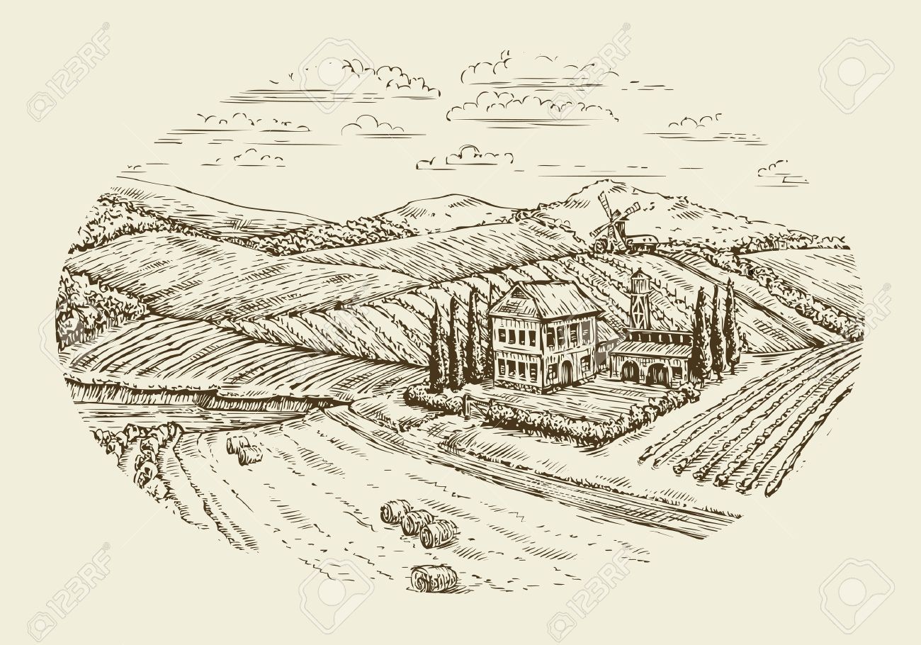 1300x910 Vineyard Landscape. Hand Drawn Vintage Sketch Agriculture, Farming - Agriculture Sketch