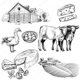 260x260 Download Agriculture Clipart Cattle Agriculture Sketch - Agriculture Sketch