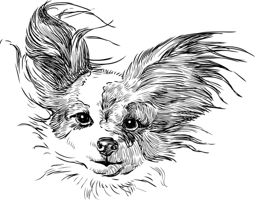 500x392 Sketch Dog Design Vector Free Vector In Adobe Illustrator Ai ( .ai - Ai Sketch