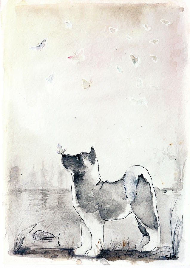 637x900 Akita Inu Drawing By Natalia Stahl - Akita Sketch