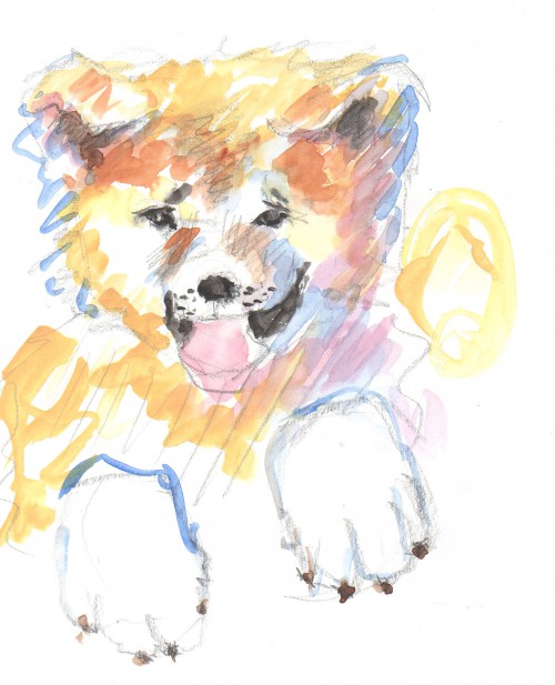 500x617 Akita Pup Moveable Paintbox - Akita Sketch