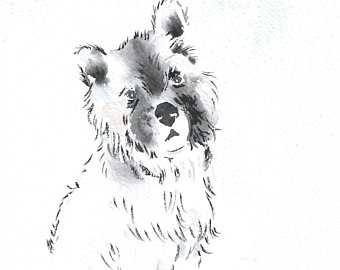 340x270 Akita Sketch Etsy - Akita Sketch