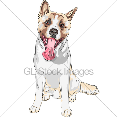 500x500 Vector Sketch Dog Akita Breed Smiles Gl Stock Images - Akita Sketch