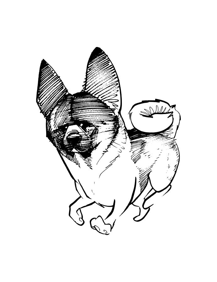 691x900 Akita Gesture Sketch Drawing By John Lafree - Akita Sketch