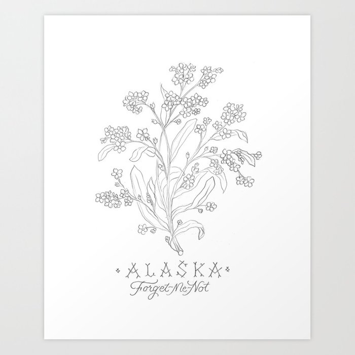 700x700 Alaska Sketch Art Print By Jilldehaan Stateflowers Society6 - Alaska Sketch