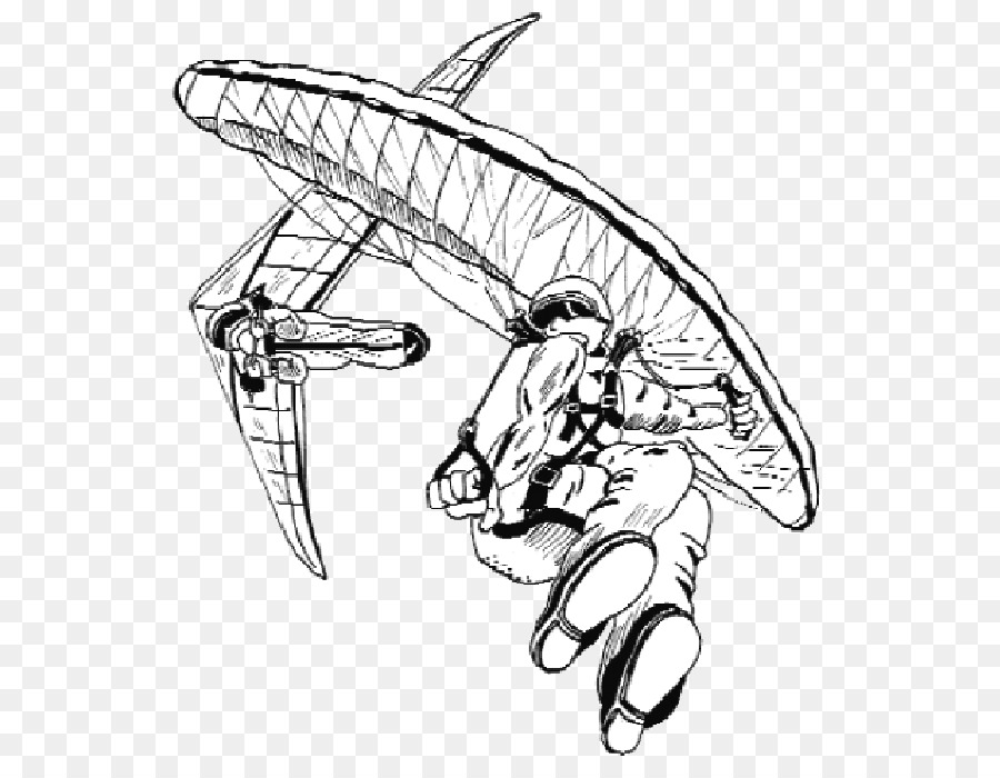 900x700 Drawing Line Art Sketch - Albatross Sketch