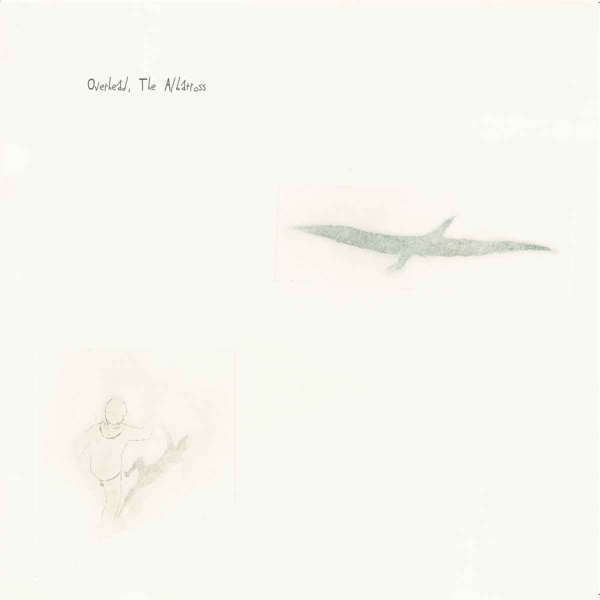 1200x1200 Learning To Growl Overhead, The Albatross - Albatross Sketch