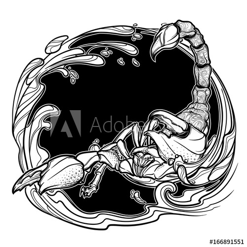 500x500 Alchemy Element Of Water. Zodiac Sign Scorpio. Detailed Realistic - Alchemy Sketch