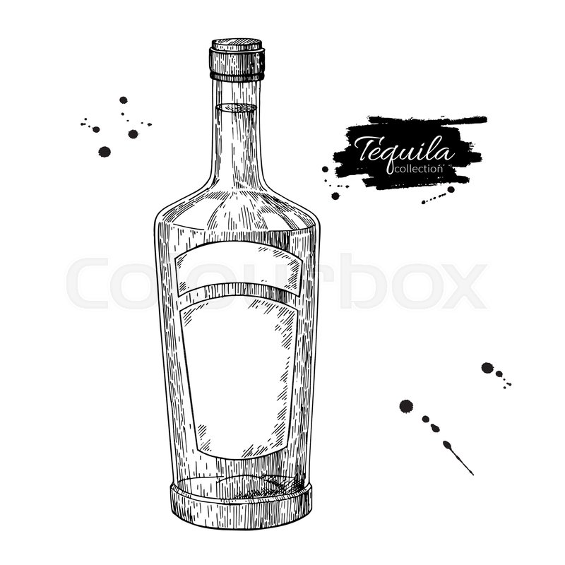 800x800 Tequila Bottle Drawing. Vodka, Cocktail, Alcohol Drink Vector - Alcohol Sketch