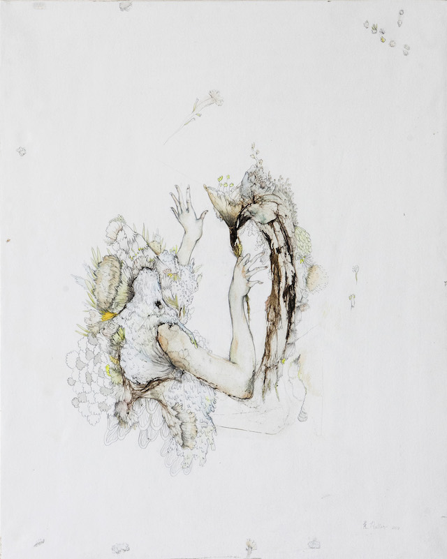 640x801 Meet The Illustrator Who Puts Algae On Paper - Algae Sketch