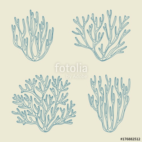 500x500 Sea Corals And Algae Sketch. Vector Illustration Hand Drawing - Algae Sketch