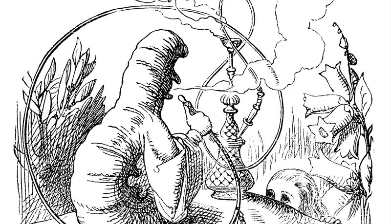 800x460 The Alice Blog - Alice In Wonderland Caterpillar Sketch