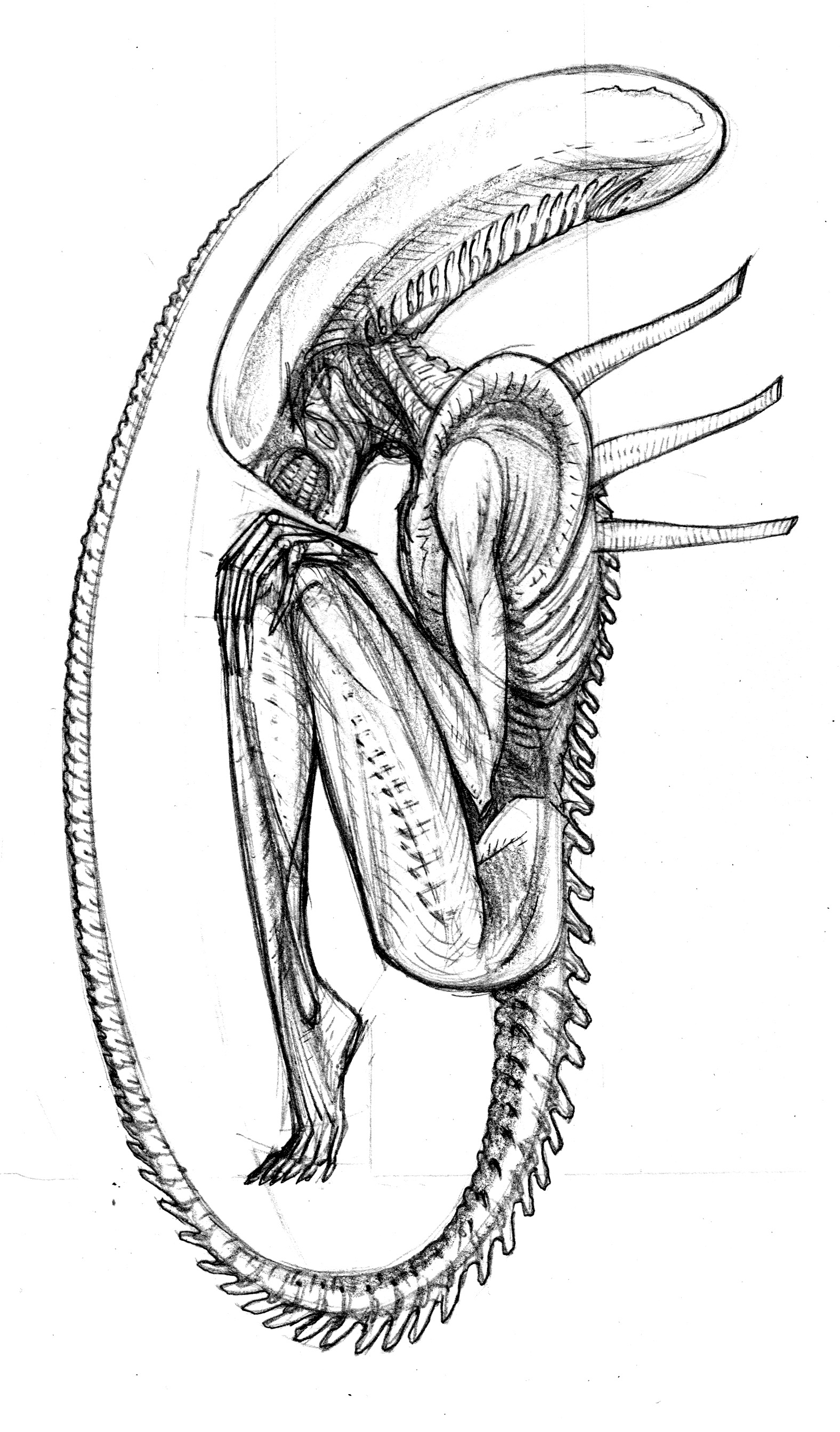 1576x2687 Alien Sketch Boyd Ink - Alien Sketch