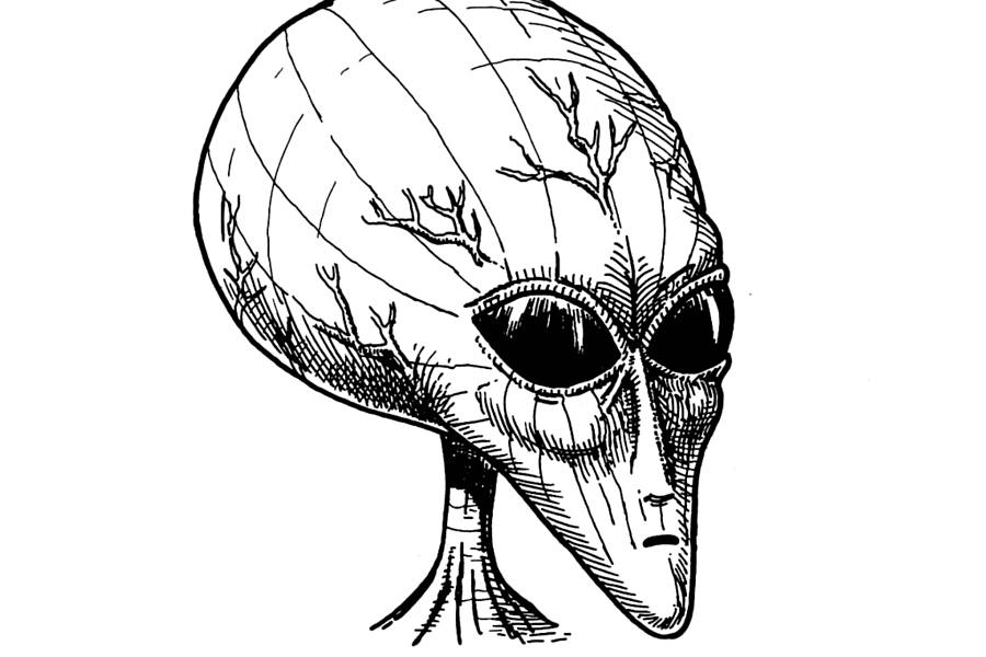 900x600 Are Aliens Real 4 Secret Government Projects May Hold The Answer - Alien Sketch