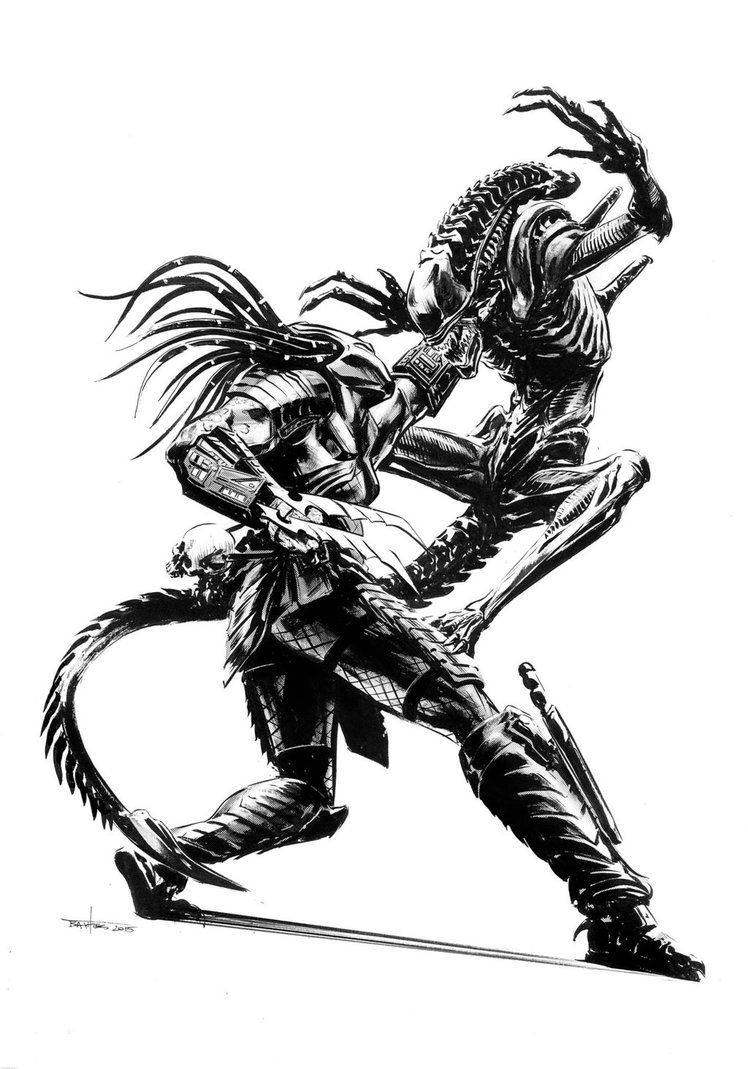 748x1069 Alien Vs. Predator - Alien Vs Predator Sketch