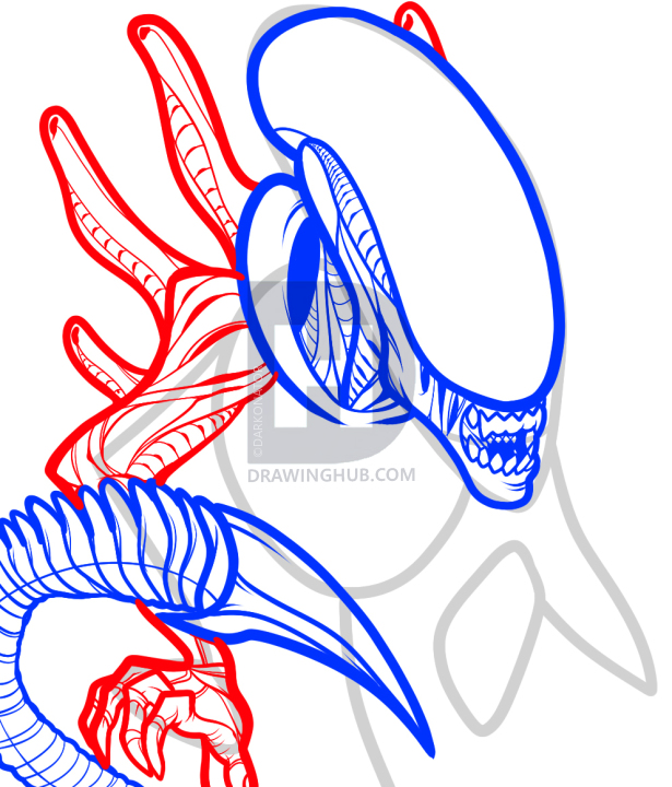 615x720 How To Draw An Alien From Alien Vs Predator, Avp, Step By Step - Alien Vs Predator Sketch