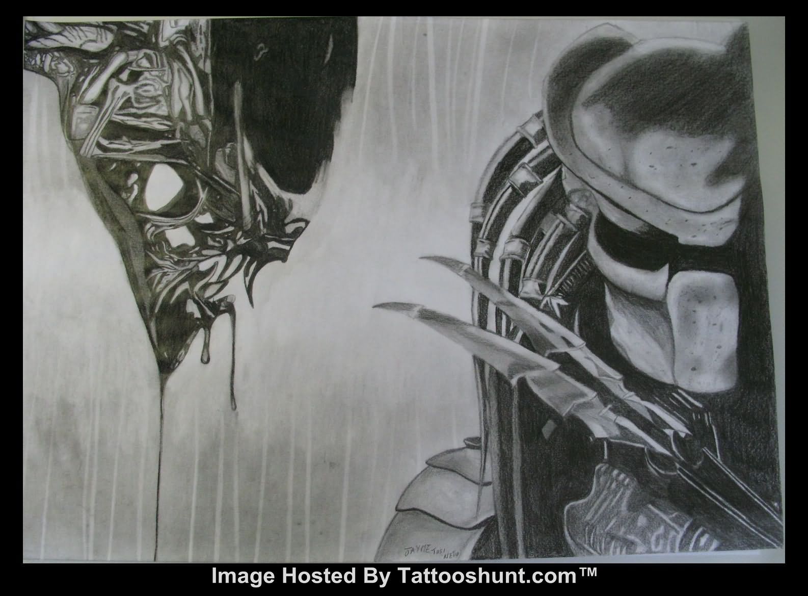 1586x1169 Mind Blowing Alien Vs Predator Sketch - Alien Vs Predator Sketch