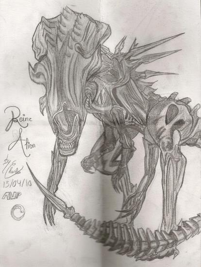 414x550 Nice Alien Vs Predator Sketch - Alien Vs Predator Sketch