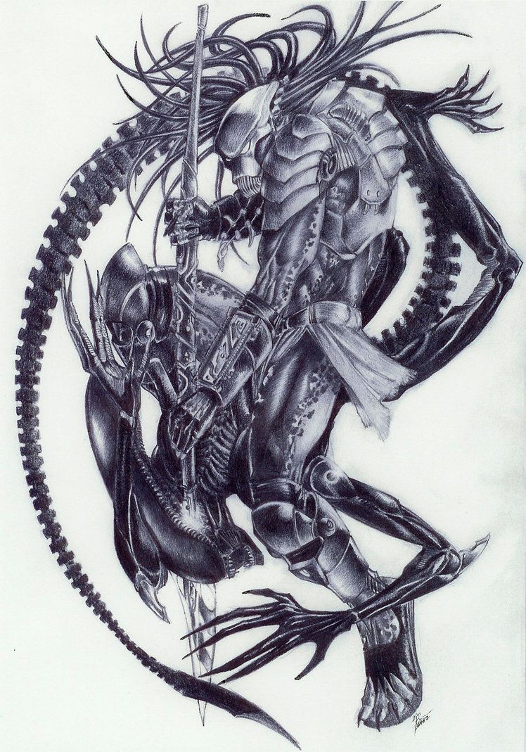 748x1069 Alien Vs Predator - Alien Vs Predator Sketch