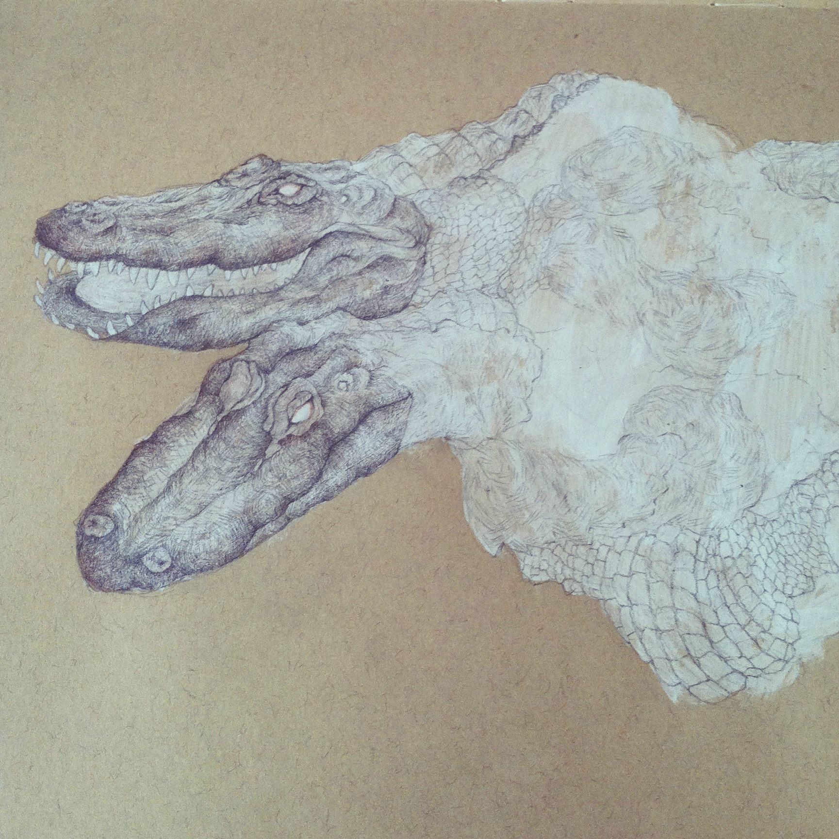 1729x1729 Siamese Alligator Sketch Art - Alligator Sketch