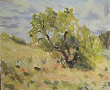 375x307 Saatchi Art Beaurecueil Almond Tree Painting By Mary Hamilton - Almond Tree Sketch