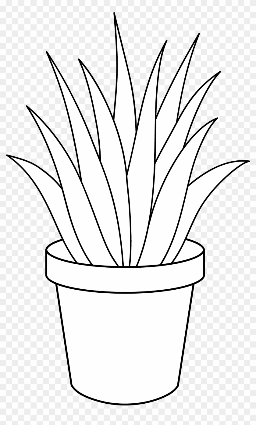 840x1394 Black And White Plants - Aloe Vera Sketch