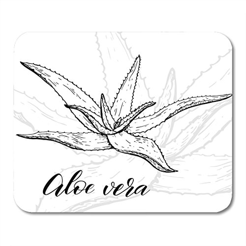 500x500 Boszina Mouse Pads Aloe Vera Plant Ingredient For Traditional - Aloe Vera Sketch