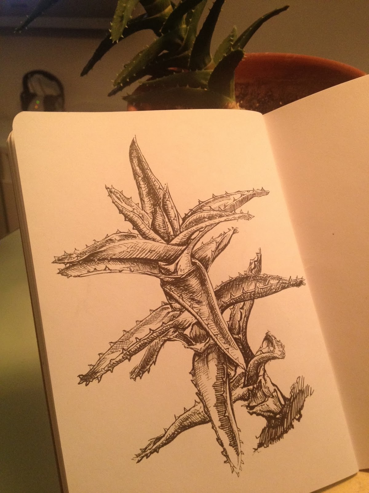 1200x1600 Toronto Urban Sketchers A - Aloe Vera Sketch