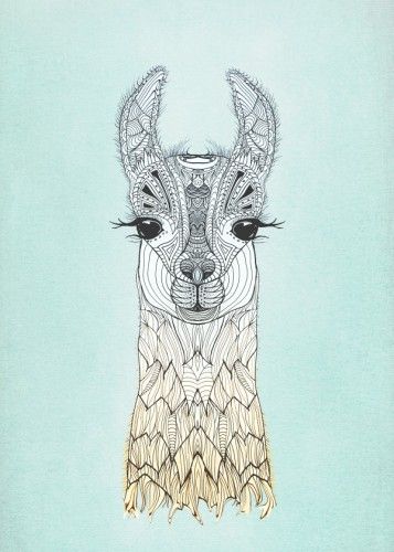 357x500 Alpaca Clipart Zentangle ~ Frames ~ Illustrations ~ Hd Images - Alpaca Sketch