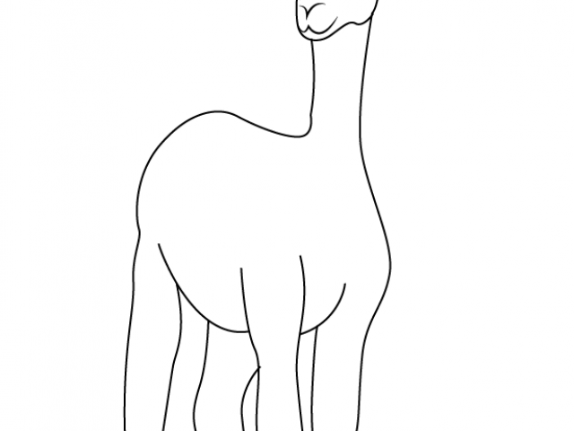 640x480 Drawn Alpaca Sketch 2 - Alpaca Sketch