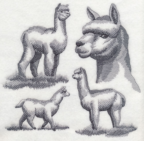 577x566 Machine Embroidery Designs - Alpaca Sketch